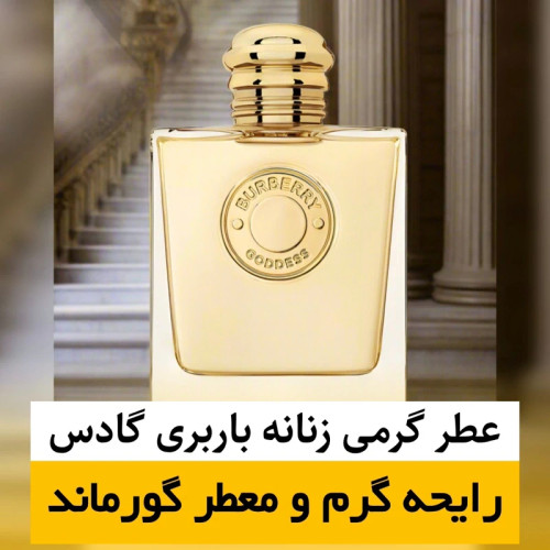 عطر باربری گادس/گرید hi فرگ ورد/ضمانت کیفیت.پخش بو.ماندگاری