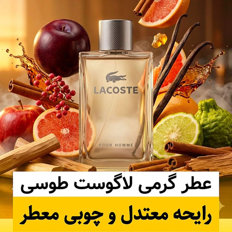 عطر لاگوست پورهوم(طوسی)/گرید hi بل/ضمانت کیفیت.پخش بو.ماندگاری